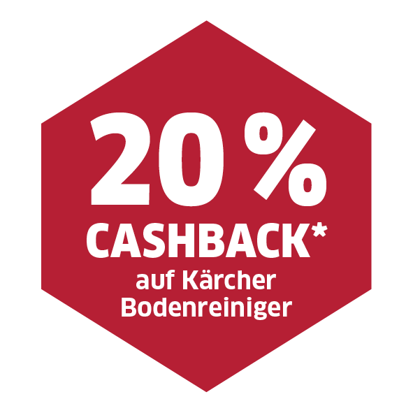 Icon Bodenreiniger Cashback Aktion 2025
