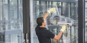 Fensterreinigung
